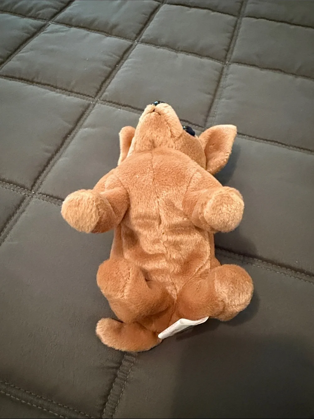 TY VINTAGE 1999 BEANIE BABY 